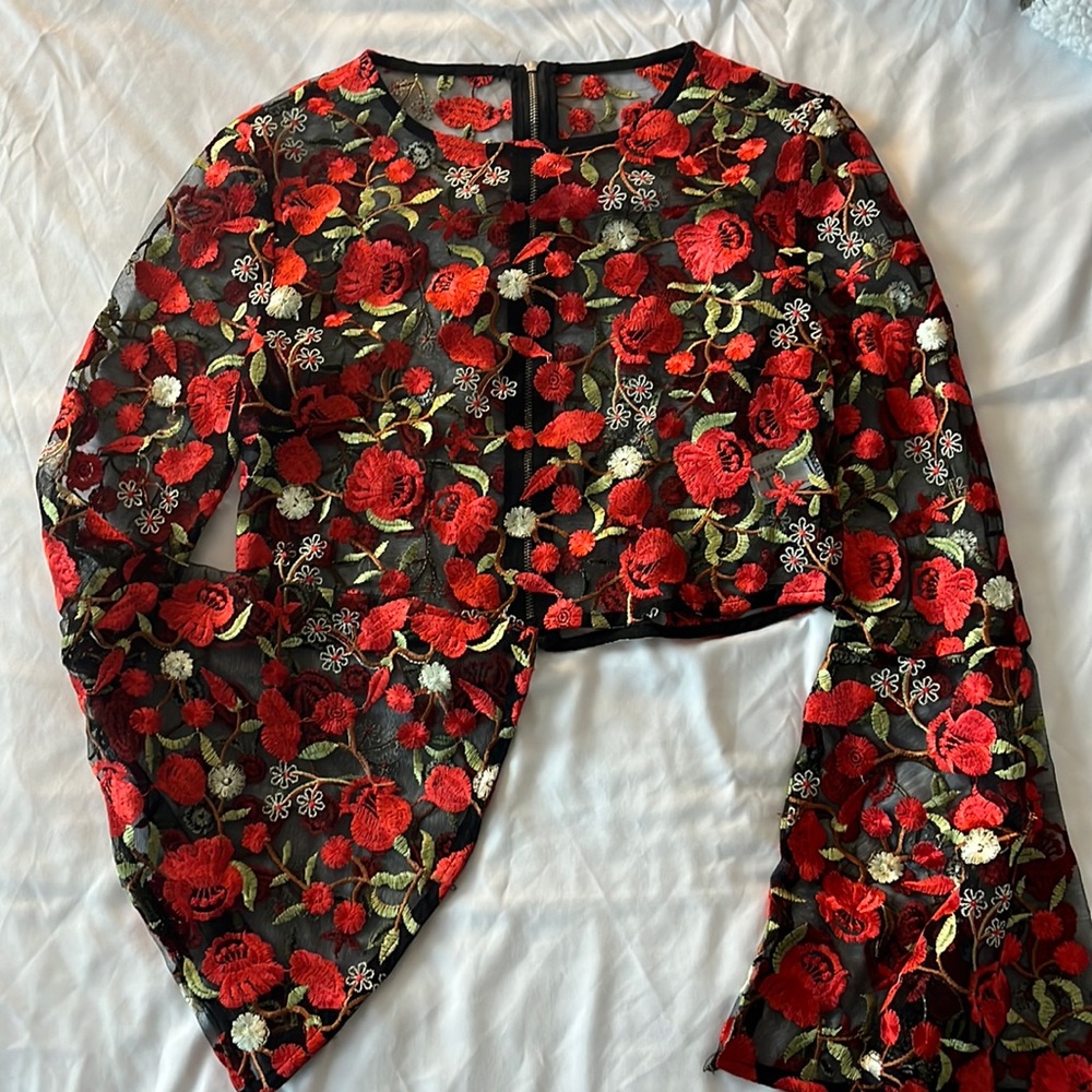 Rose Mesh Embroidered Crop Top